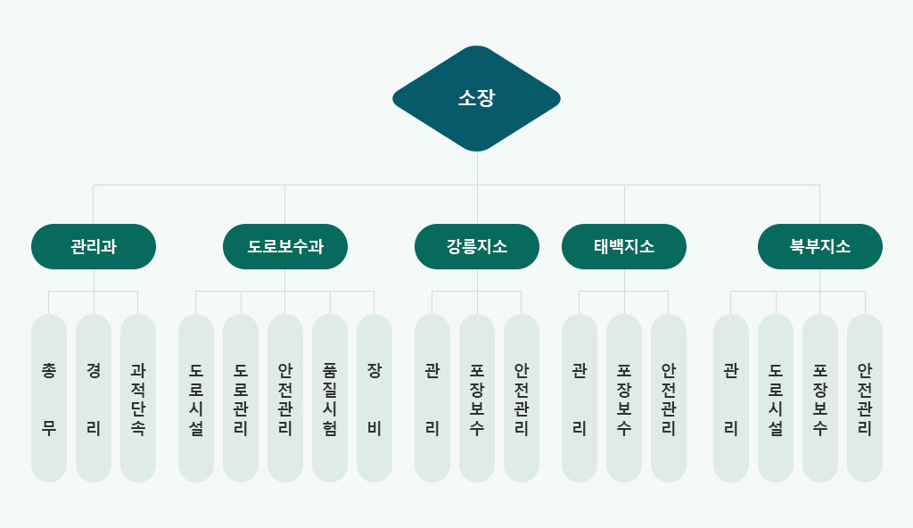 조직 현황