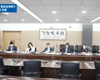 강원특별자치도 평화경제 특구 온라인 포럼