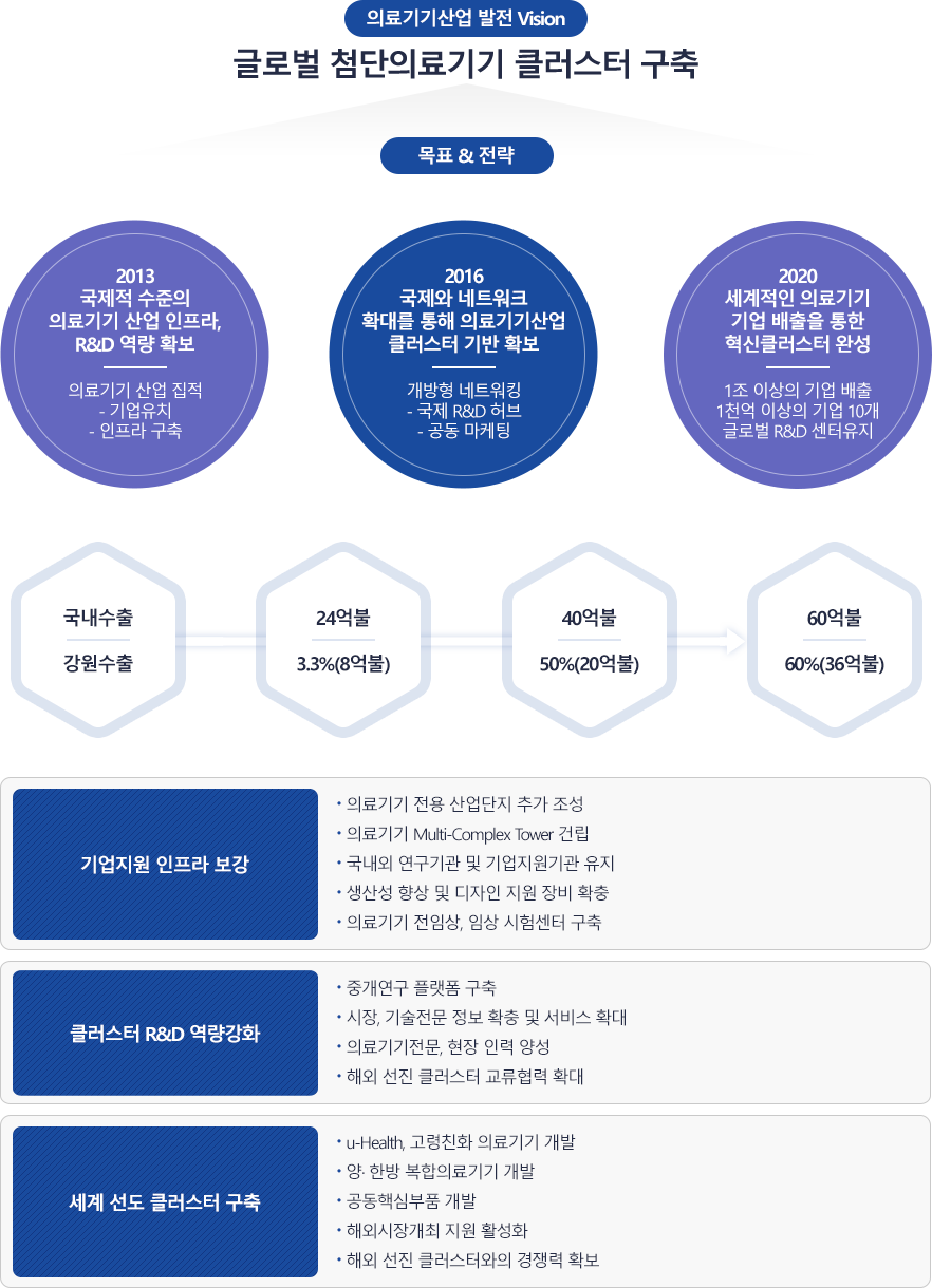 글로벌 첨단의료기기 클러스터 구축