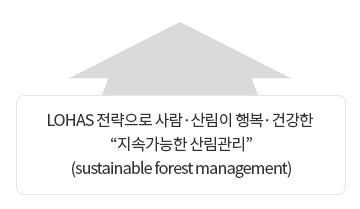 LOHAS 전략으로 사람·산림이 행복·건강한 “지속가능한 산림관리”(sustainable forest management)